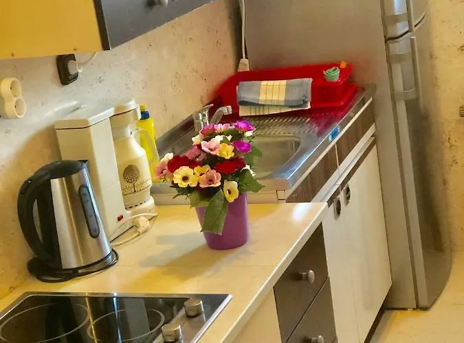 Romansa Pensionat 2*